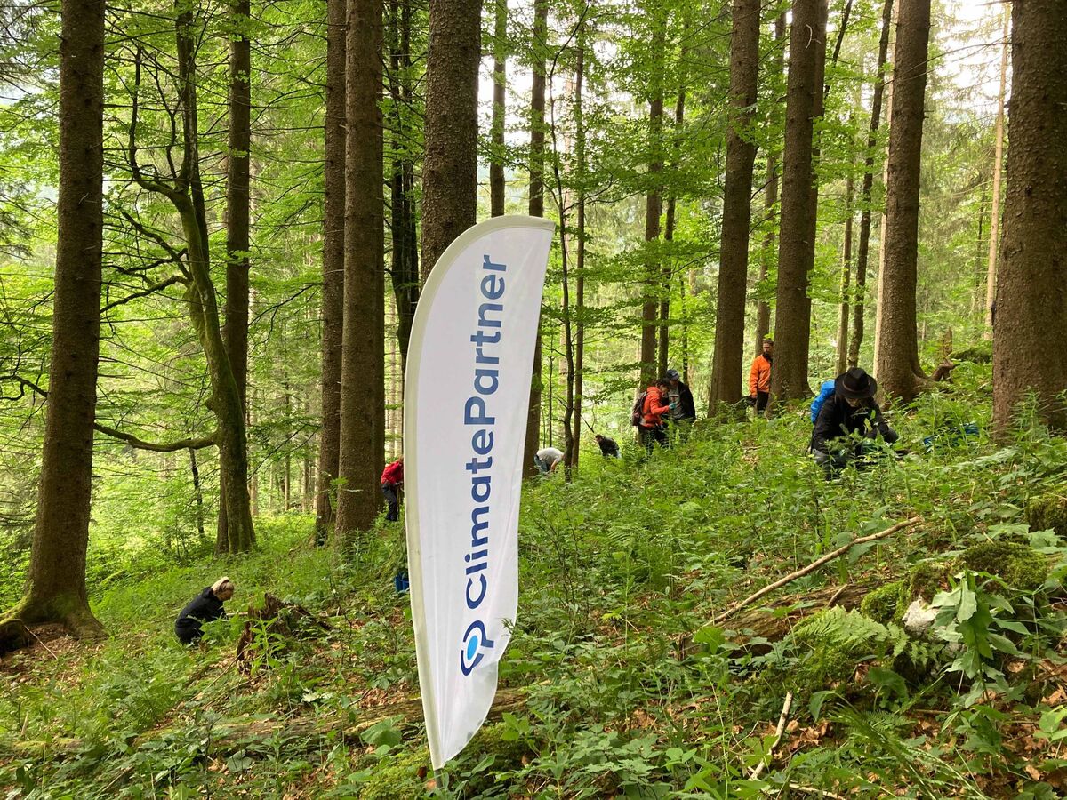 Baumpflanzung in Deutschland