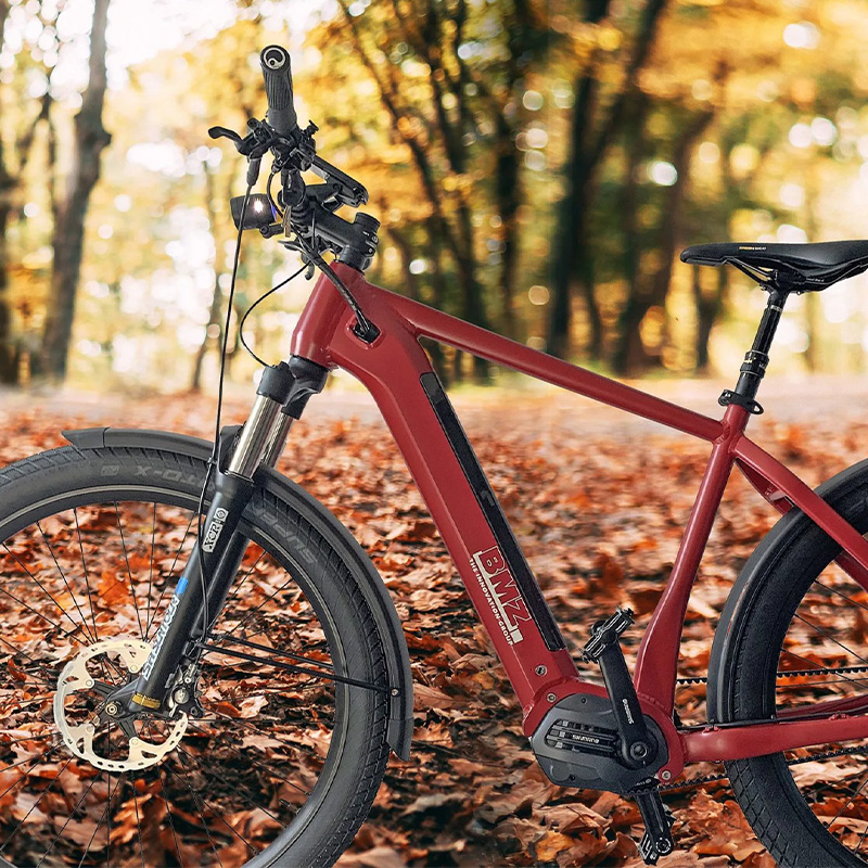 Mountainbiker auf einem Waldpfad, Projekt: E-Bike-Shop-Lösung für die BMZ Group